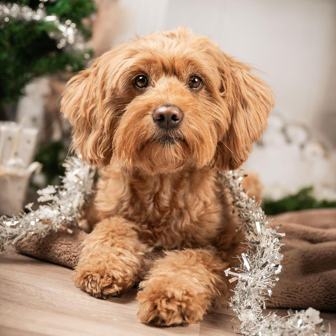 Foto Logopäde Arne Timm